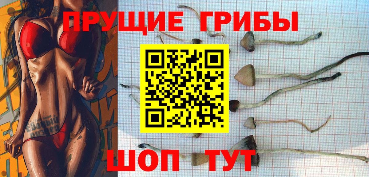 Псилоцибиновые грибы Cubensis Верхний Уфалей
