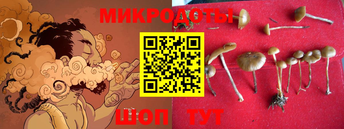 Верхний Уфалей  Галлюциногенные грибы MAGIC MUSHROOMS  Вход с VPN 